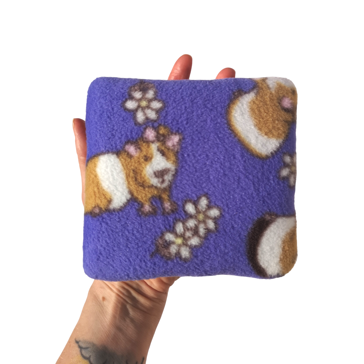 Set of 3 Fleece Pillows | Guinea Pigs Print